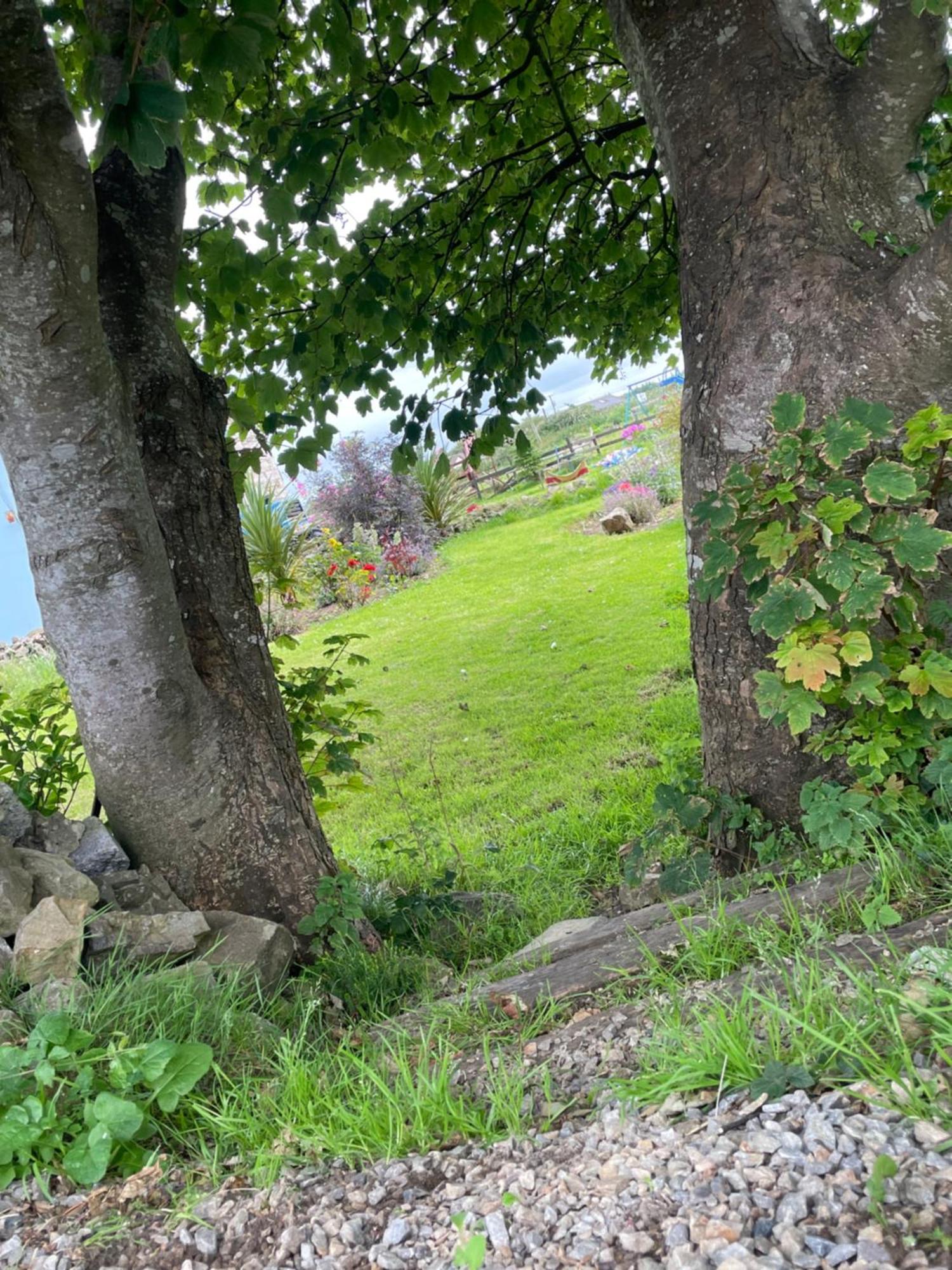 Family And Pet Friendly Farm Stay Ballyshannon Luaran gambar